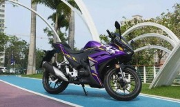 国产新机车爆料最新消息,性能卓越，引领绿色出行新潮流